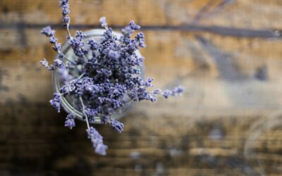 Lavender hot chocolate recipe: warm and soothing on a fall day